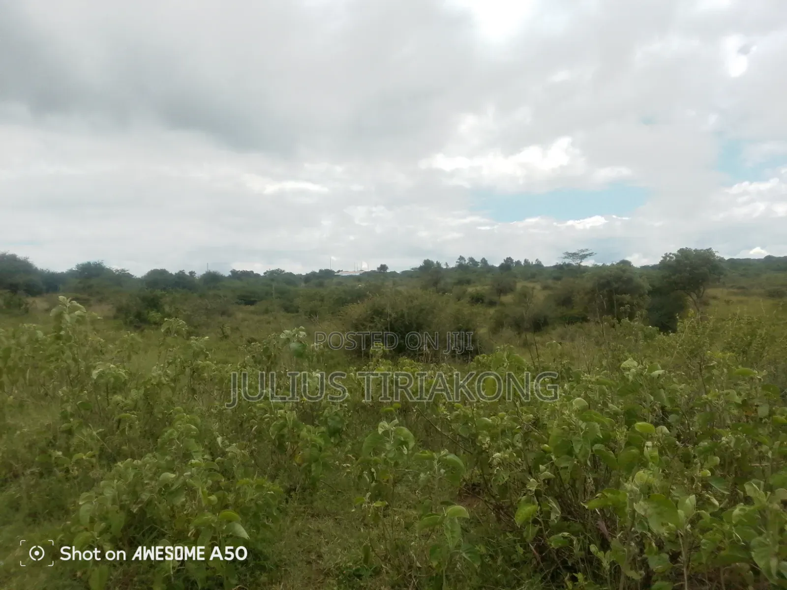 15 Acres Land for Sale