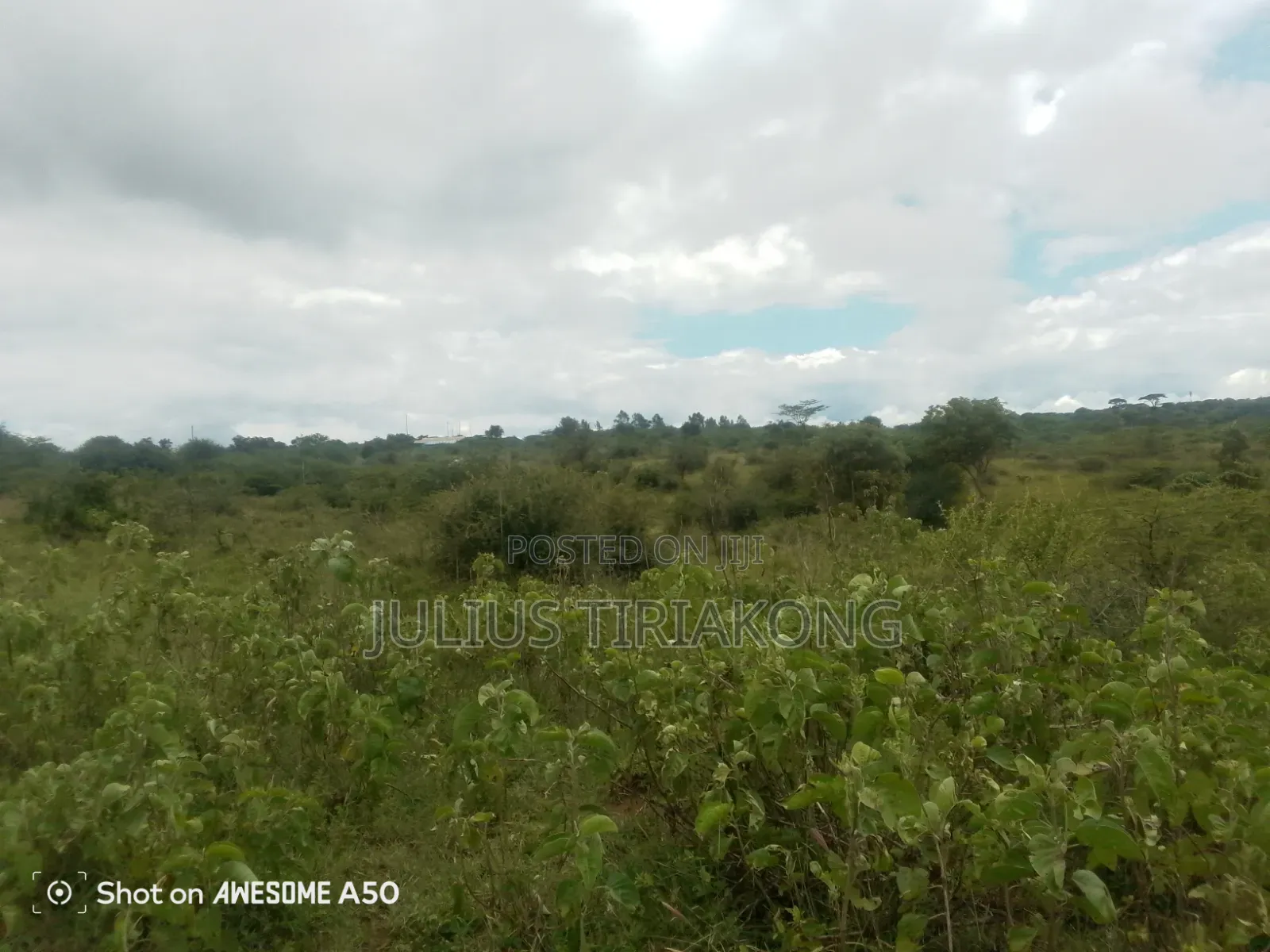 15 Acres Land for Sale