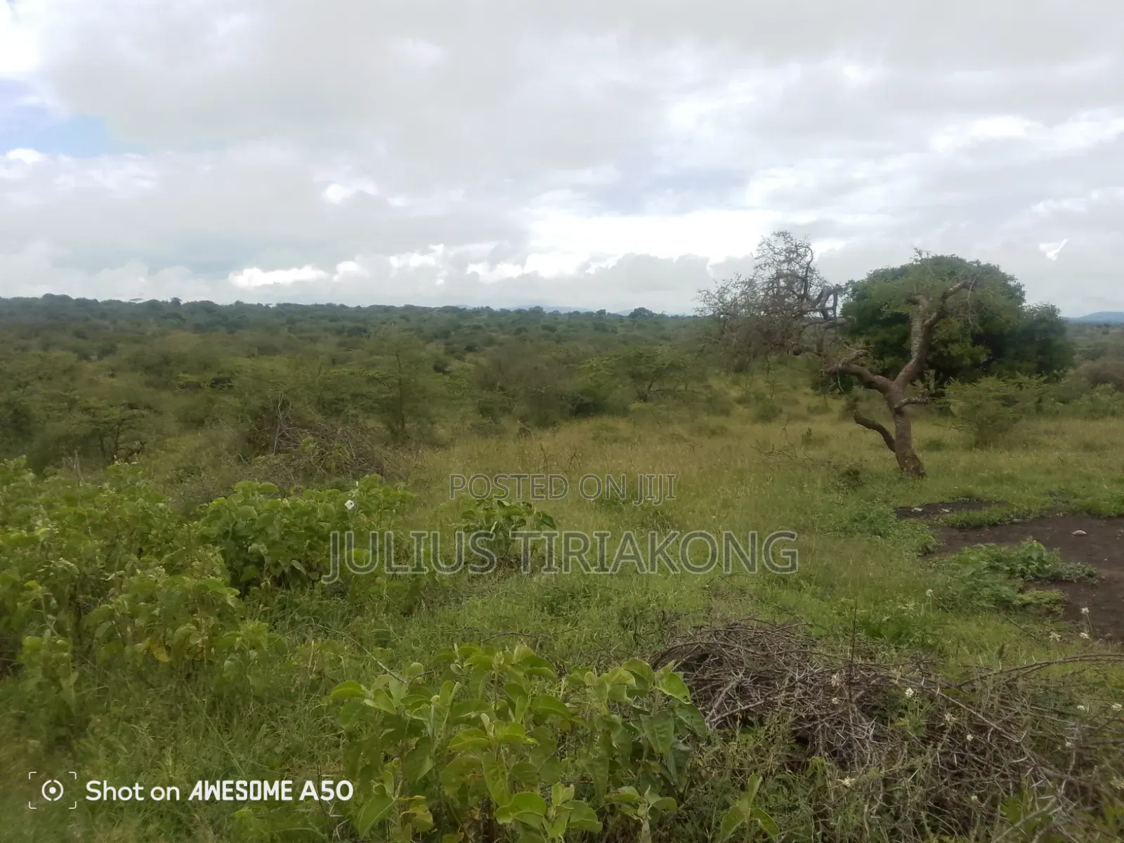 15 Acres Land for Sale