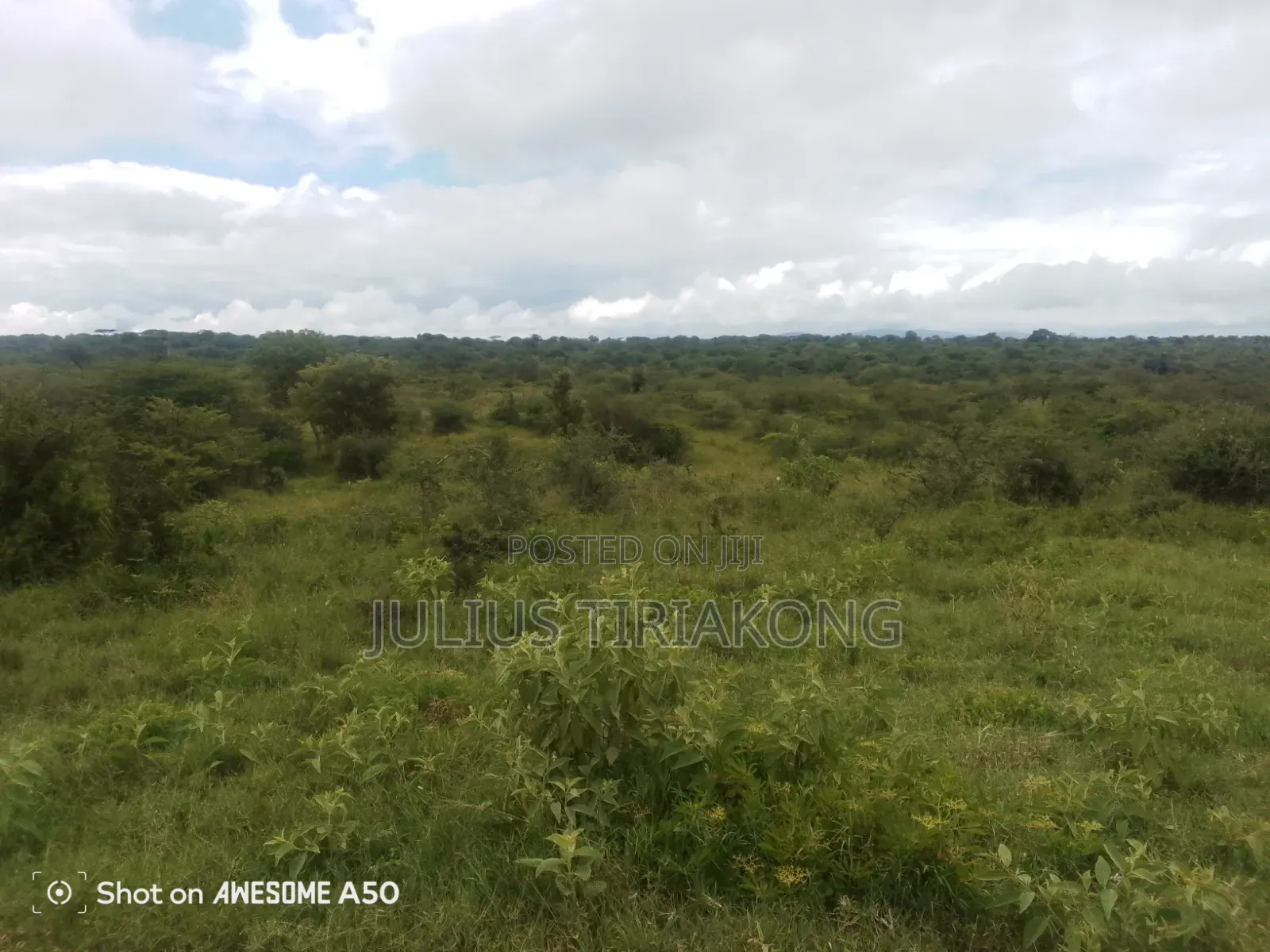 15 Acres Land for Sale