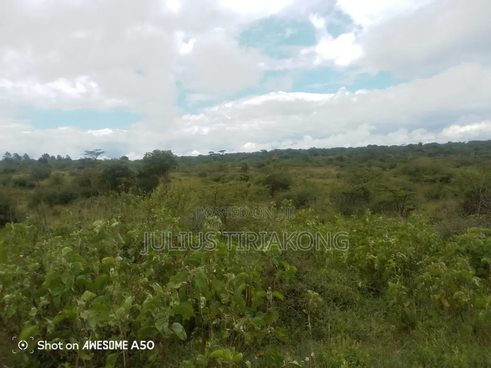 15 Acres Land for Sale