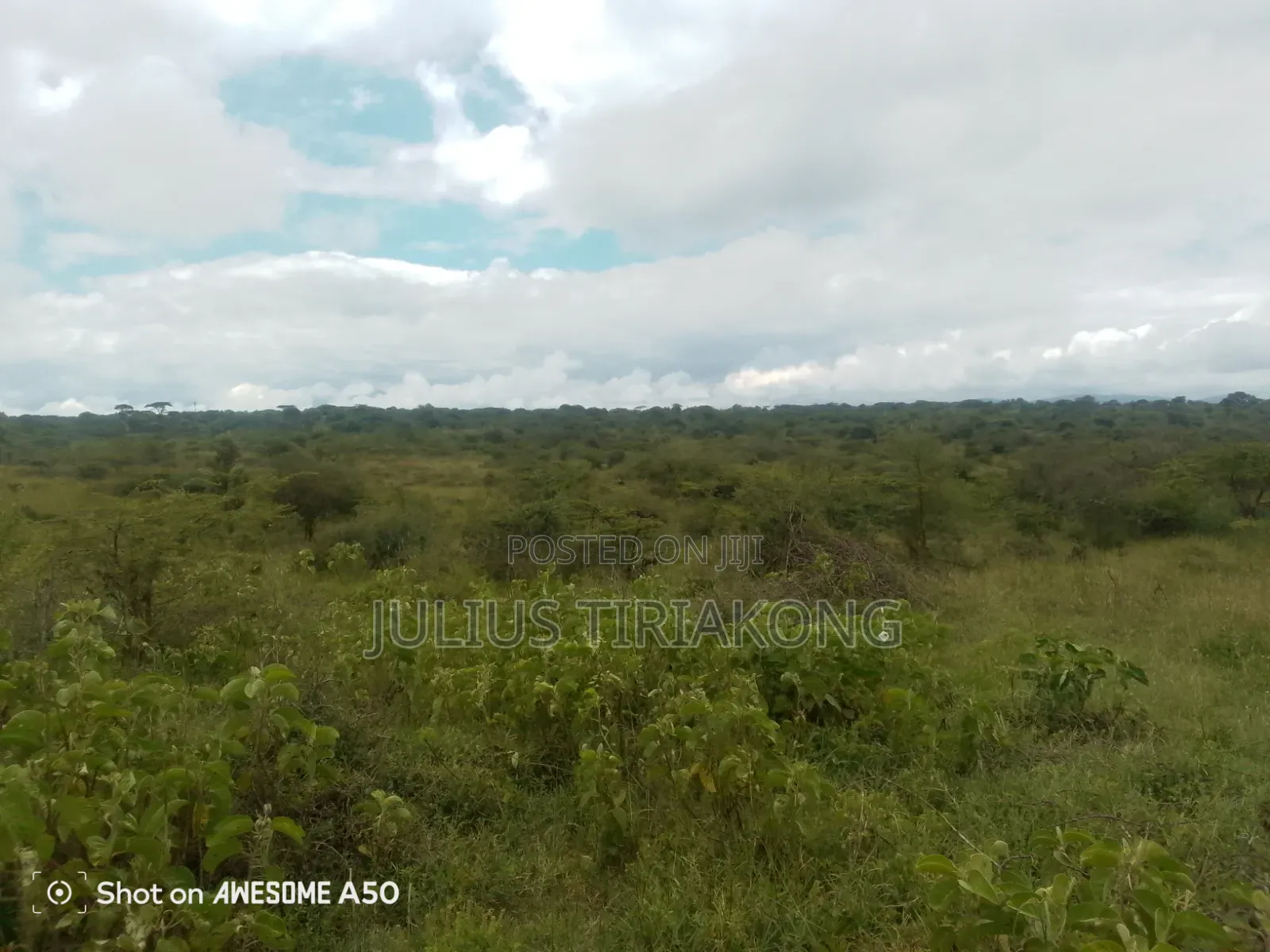 15 Acres Land for Sale