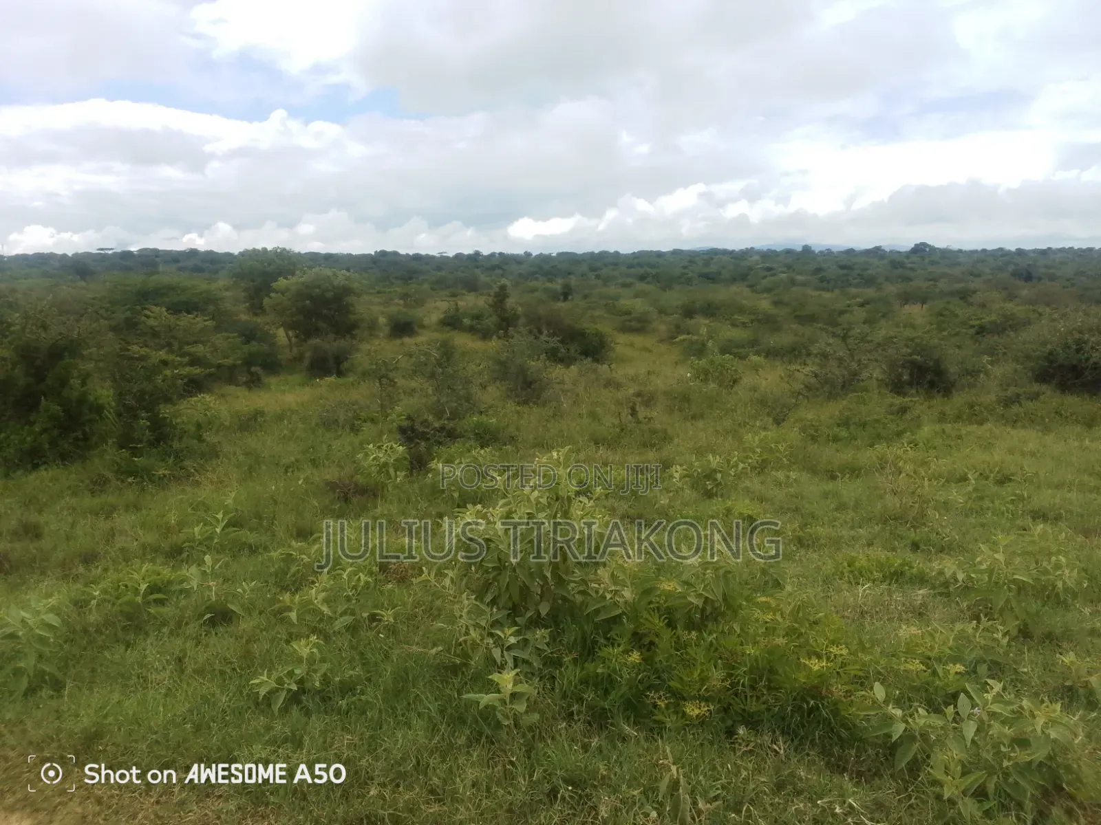 15 Acres Land for Sale