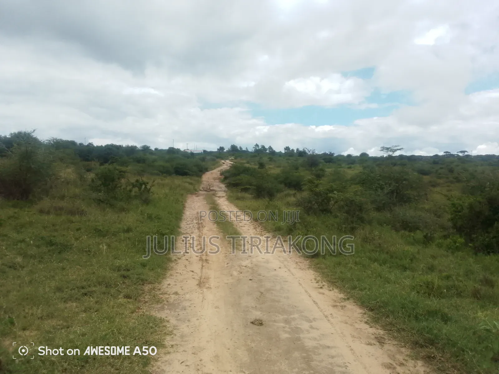 15 Acres Land for Sale