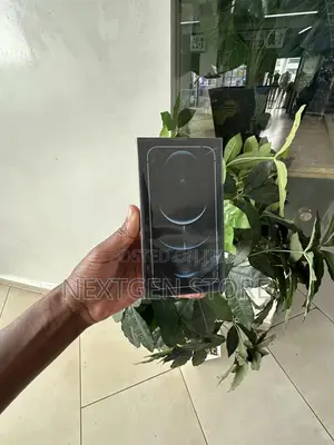 Apple iPhone 12 Pro 512 GB Black