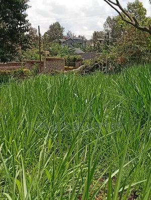 Plot at Thome Estate Nairobi