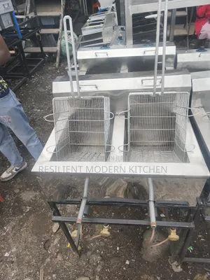 Stainless Steel Double Deep Fryer ( Gas)