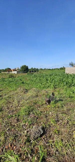Half Acre Piece of Land on Sale Kikambala North Coast Beach Hotel