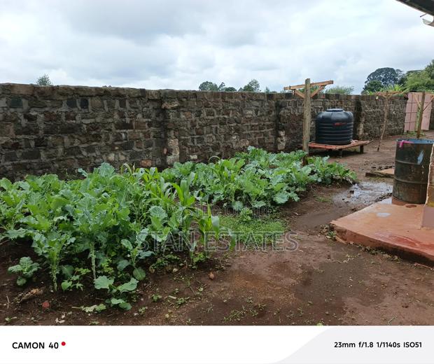 3bdrm Farm House in Githunguri for rent - thumbnail 2