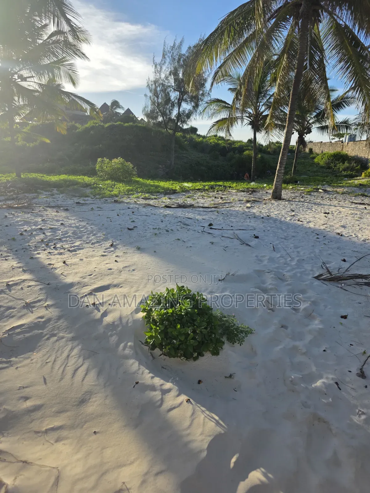 3 Acres Beach Plot Watamu Paparemo for Sale as a Block