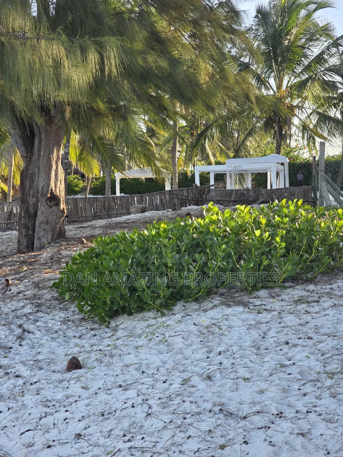3 Acres Beach Plot Watamu Paparemo for Sale as a Block