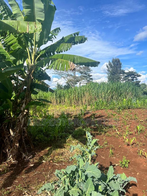 Prime 50x100 Plots for Sale in Kingongo Nyeri Near Highway - main view