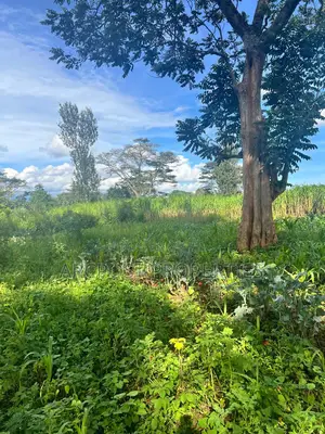 Prime 50x100 Plots for Sale in Kingongo Nyeri Near Highway