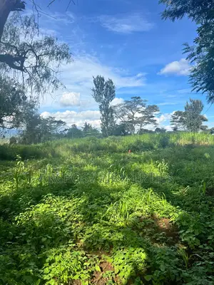 Prime 50x100 Plots for Sale in Kingongo Nyeri Near Highway