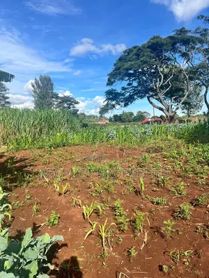 Prime 50x100 Plots for Sale in Kingongo Nyeri Near Highway