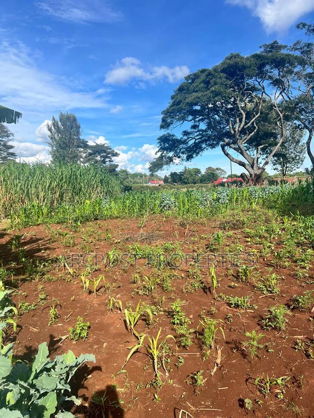 Prime 50x100 Plots for Sale in Kingongo Nyeri Near Highway - thumbnail 4