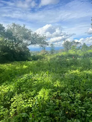 Prime Half an Acre for Sale in Kingongo Nyeri Near Highway