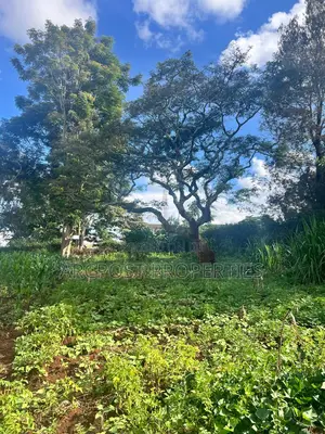 Prime Half an Acre for Sale in Kingongo Nyeri Near Highway