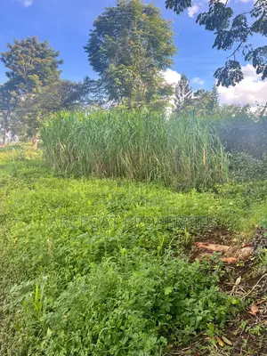 Prime Half an Acre for Sale in Kingongo Nyeri Near Highway