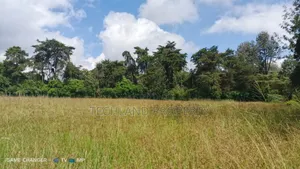 2acres Lamuria Ngareng'iro Laikipia .