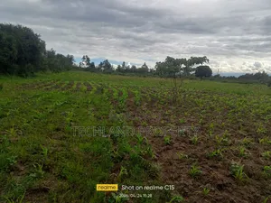 2acres Kabunda Kiawara Nyeri.