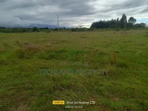 1acre Mairo Endarasha Kieni Nyeri.