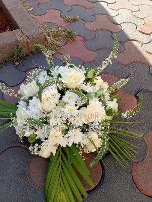 Contact Us for for Fresh Flowers and Floral Arrangements.