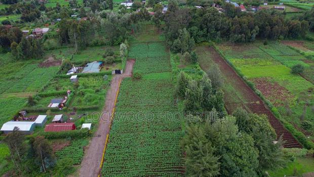Land for Sale - thumbnail 2