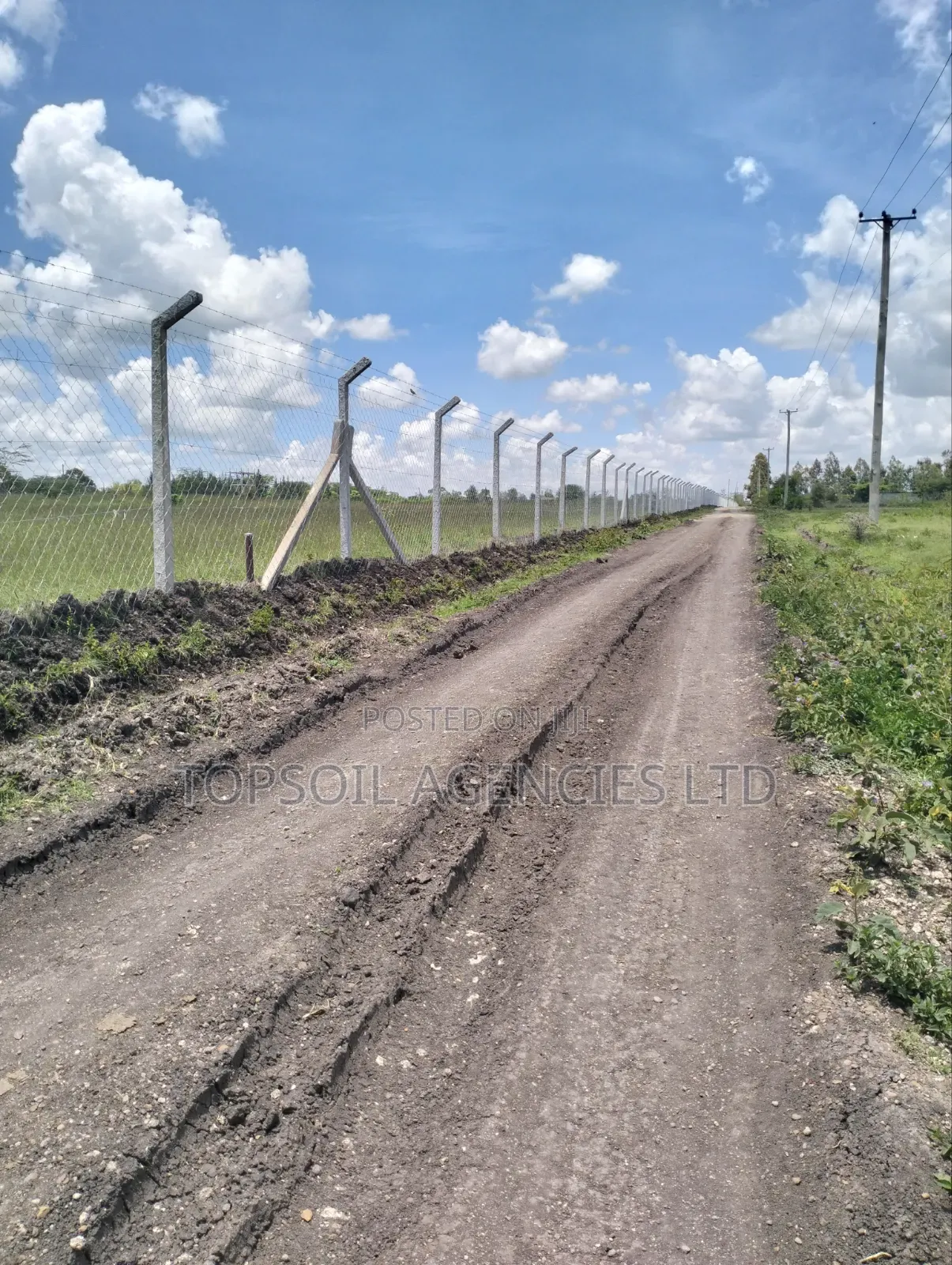 10ft 8ft Concrete Fencing Posts