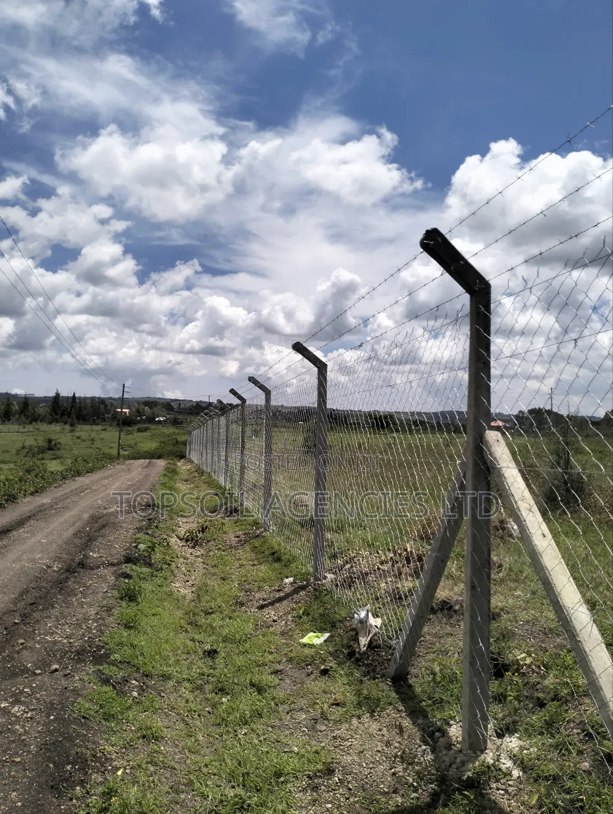 10ft 8ft Concrete Fencing Posts
