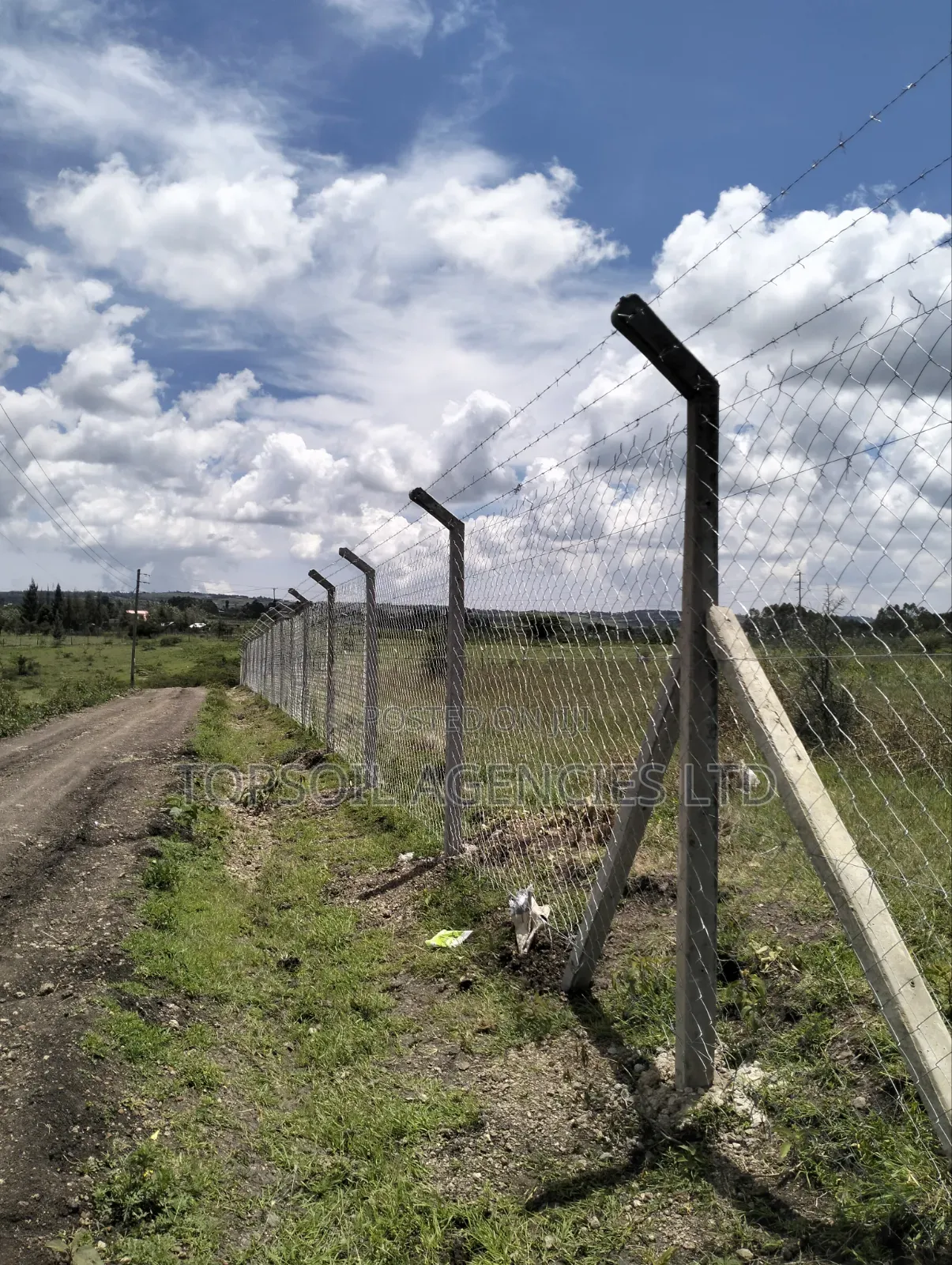 10ft 8ft Concrete Fencing Posts