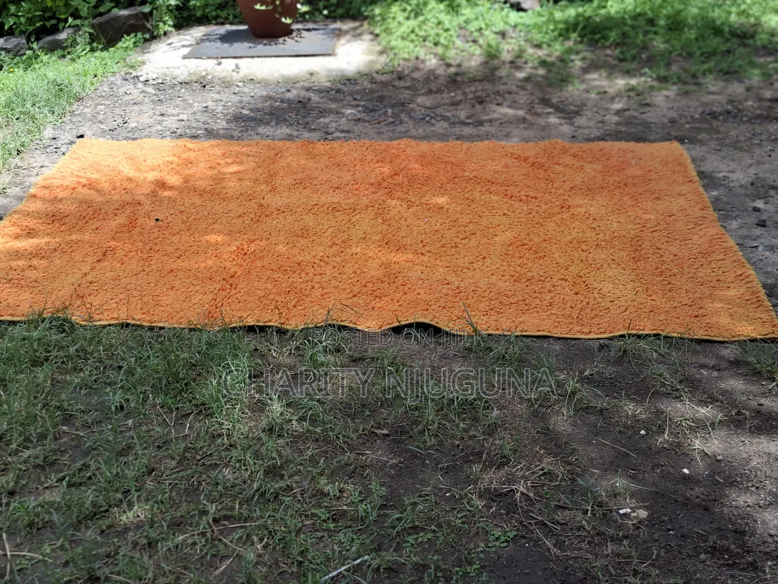 Orange 6×8 Carpet