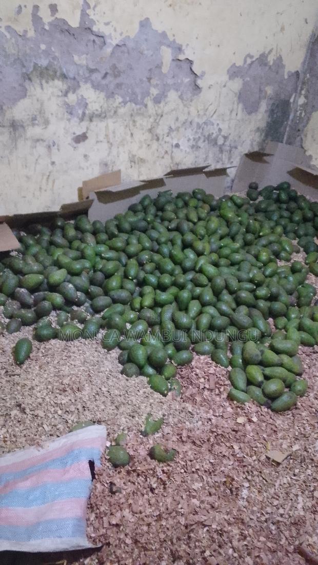 Selling Avocados Ripe and Unriped