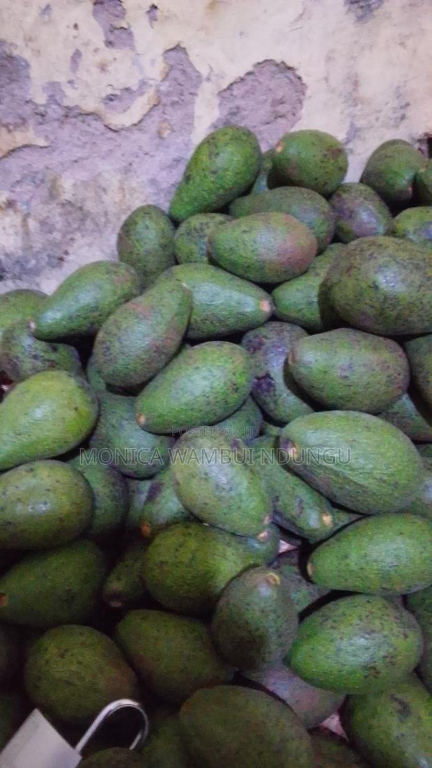Selling Avocados Ripe and Unriped - thumbnail 3