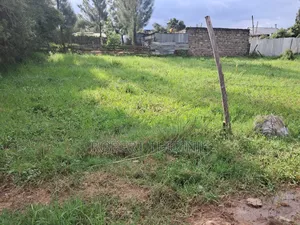 Two Plots for Sale at Kamakis One Km From Eastern Bypass .
