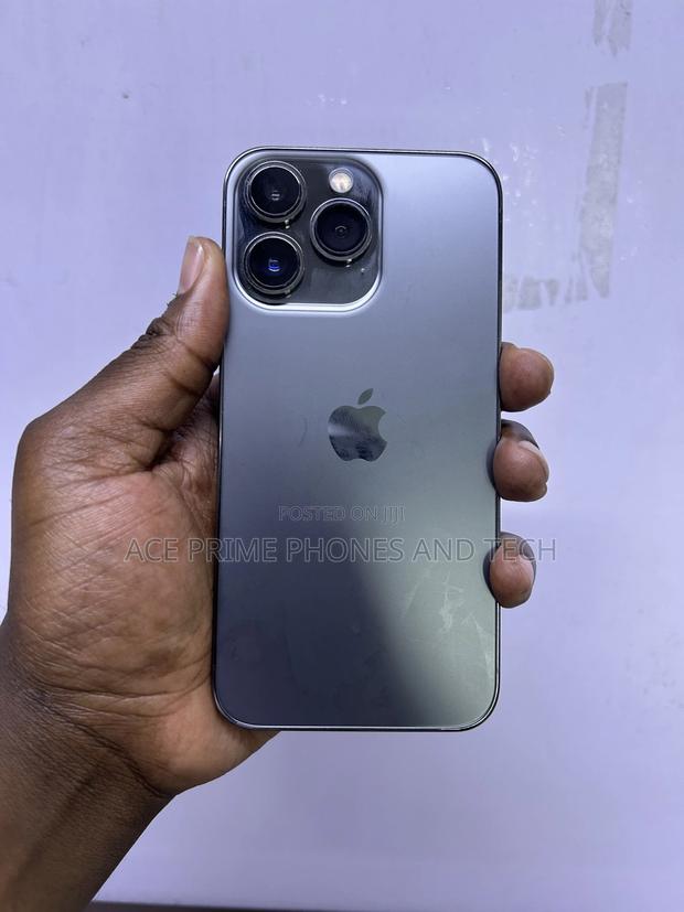 Apple iPhone 13 Pro 256 GB Gray