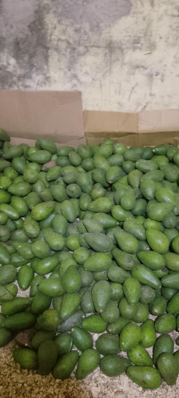 Fresh Avocado