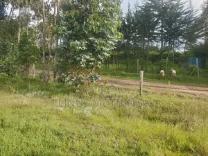 Prime Land on Sale (15 Acres)