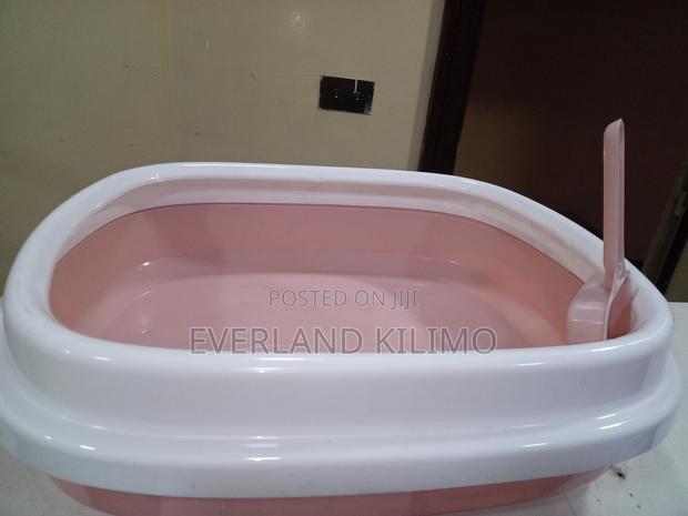 Open Cat Litter Box