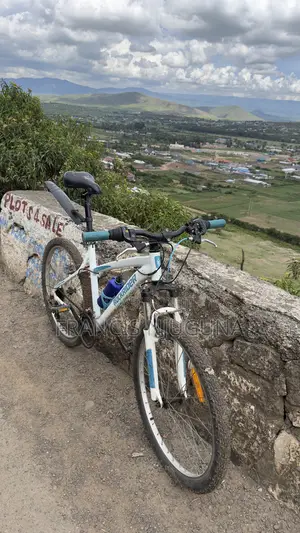 Rock Rider