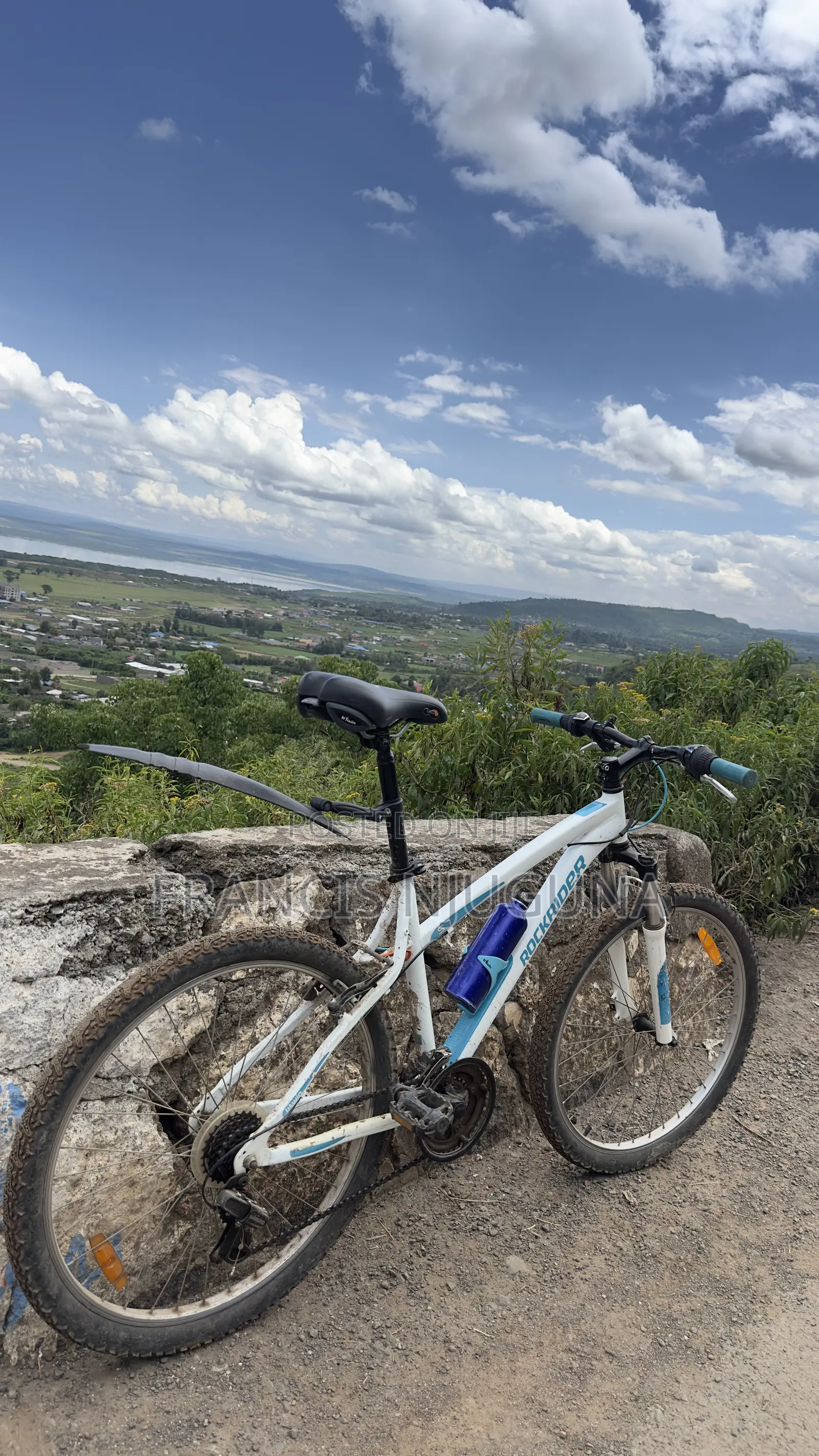 Rock Rider