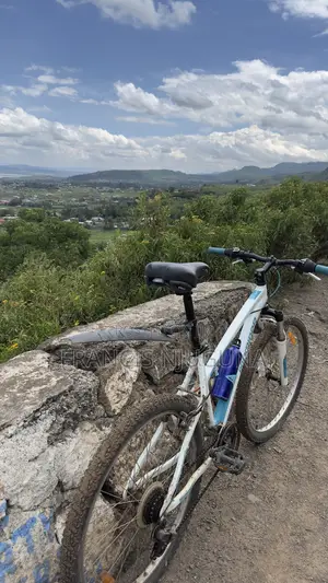 Rock Rider