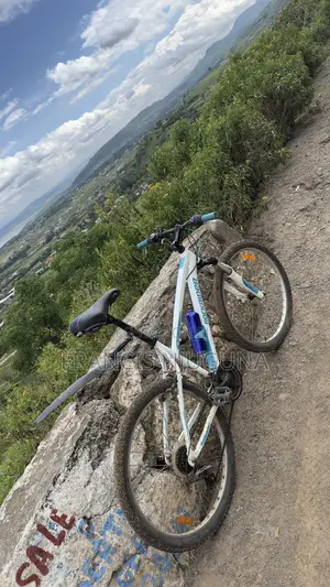 Rock Rider