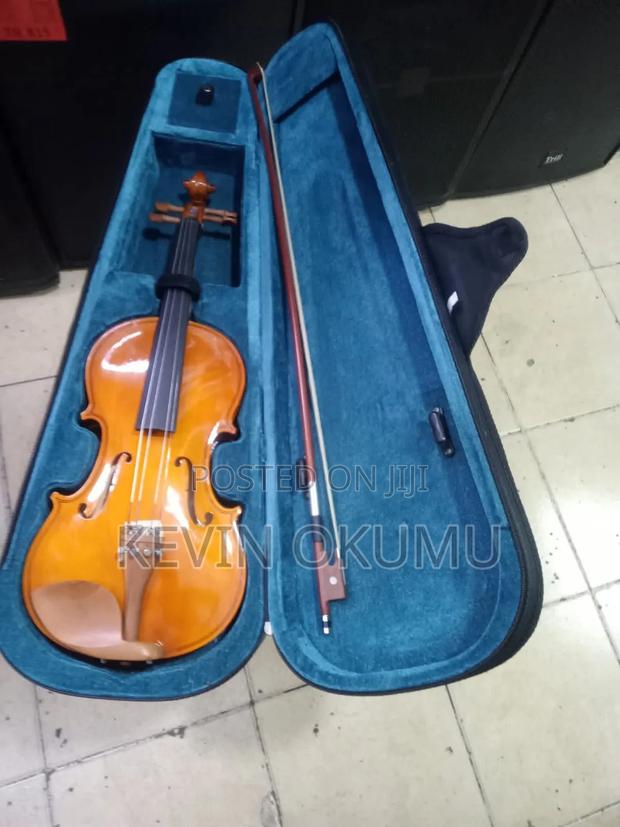 Professional Violin 