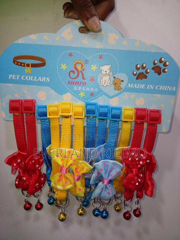 Soft Nylon Polka Dot Bow Cat Collar - main view