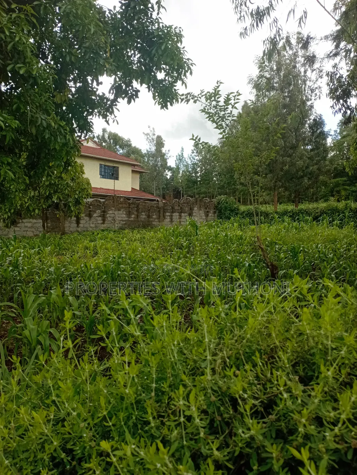 100×100 Plot for Sale in Kibiko, Ngong.