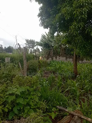 100×100 Plot for Sale in Kibiko, Ngong.