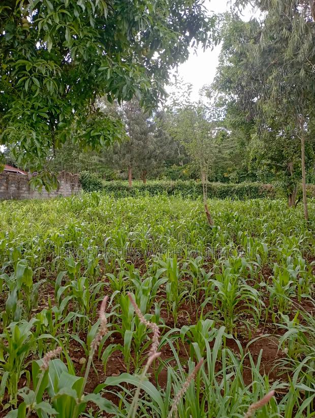 100×100 Plot for Sale in Kibiko, Ngong. - thumbnail 3