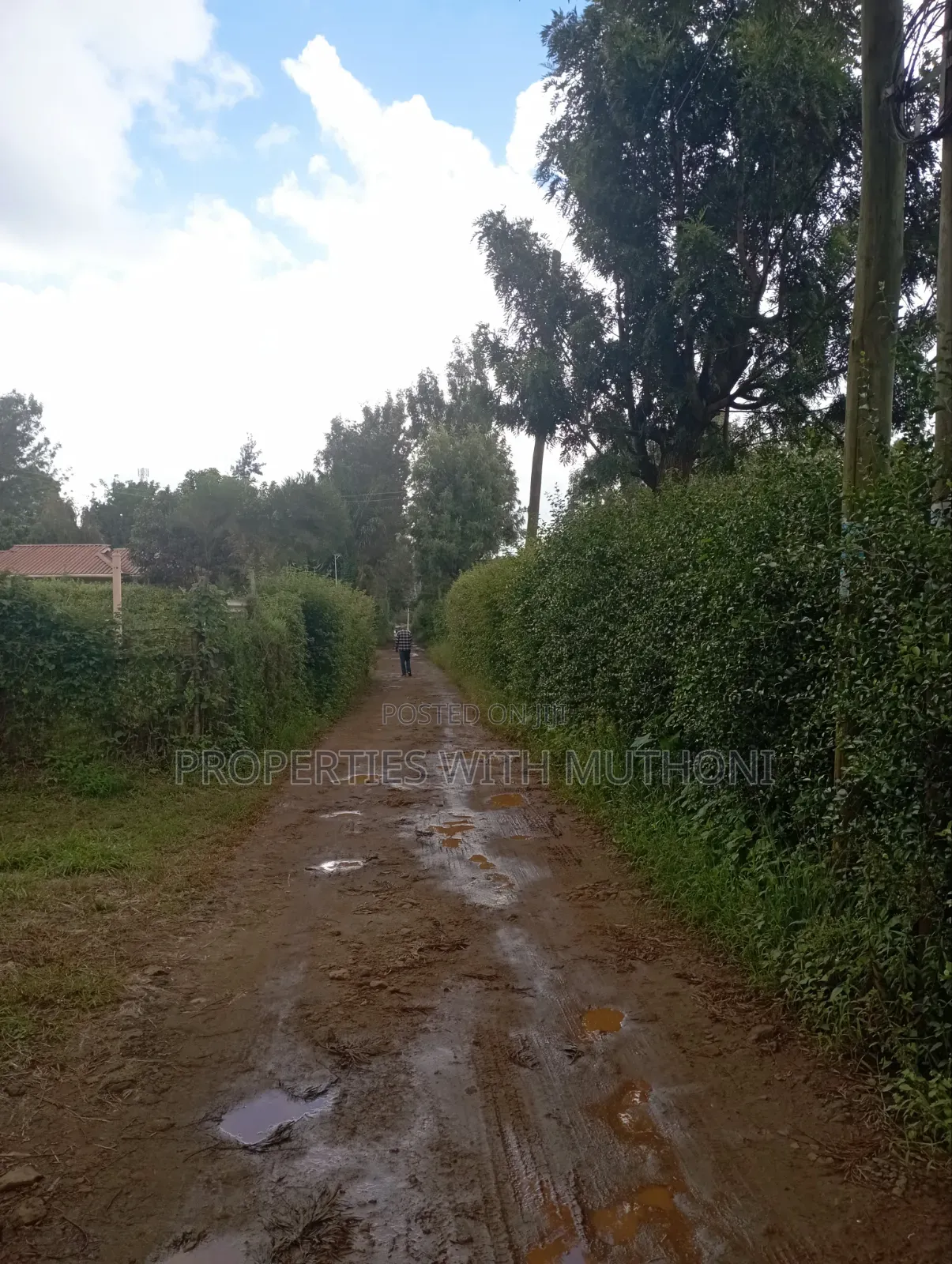 100×100 Plot for Sale in Kibiko, Ngong.