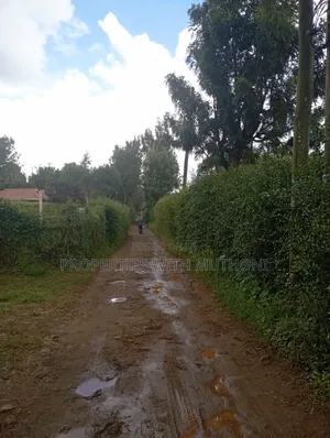 100×100 Plot for Sale in Kibiko, Ngong.
